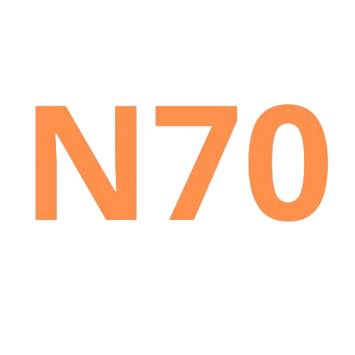 n70-logo